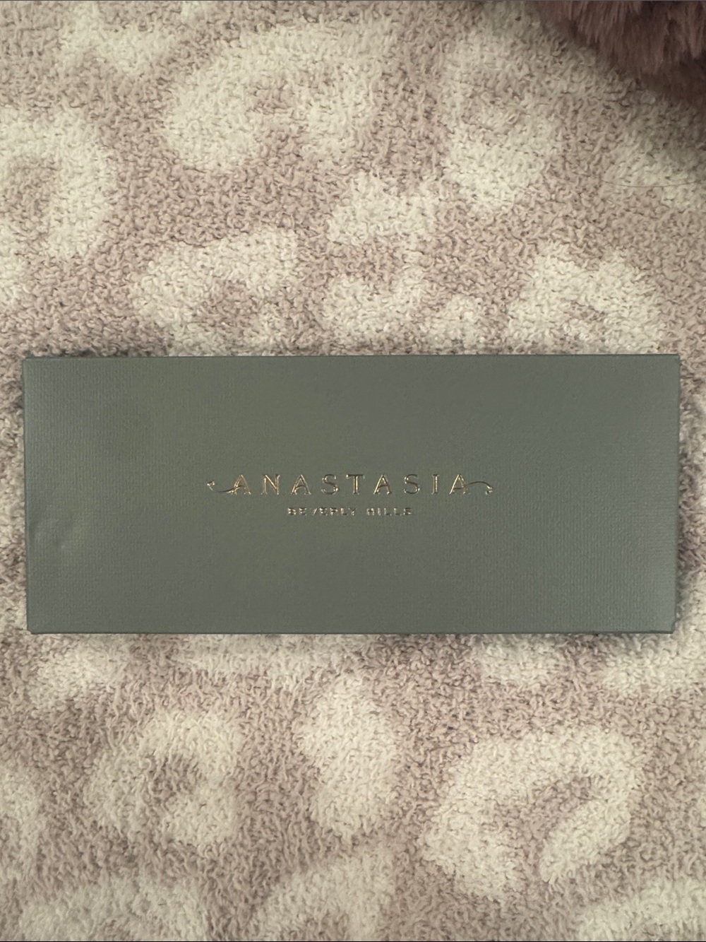 Anastasia beverly hills palette on noveau